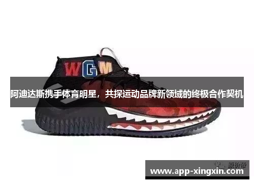 阿迪达斯携手体育明星，共探运动品牌新领域的终极合作契机
